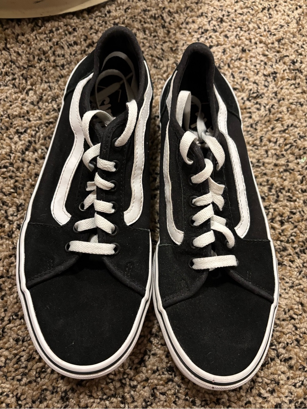 Vans Black and White Low-Top Skate Sneakers